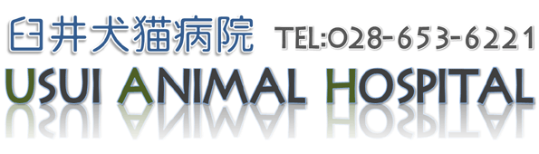臼井犬猫病院