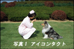 アイコンタクト
