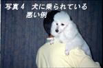 抱っこする