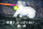 遊び方のルール