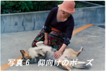 なでる