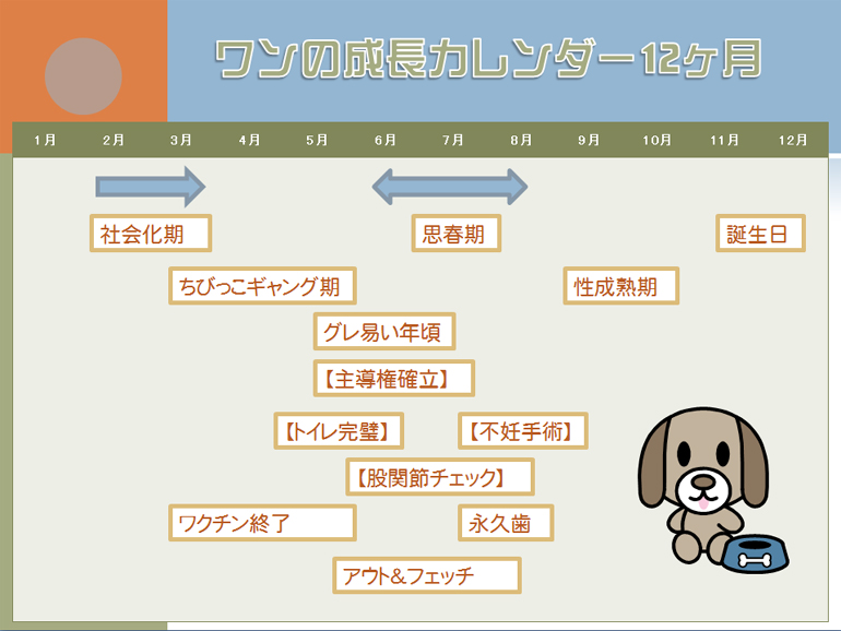 ワンの成長カレンダー